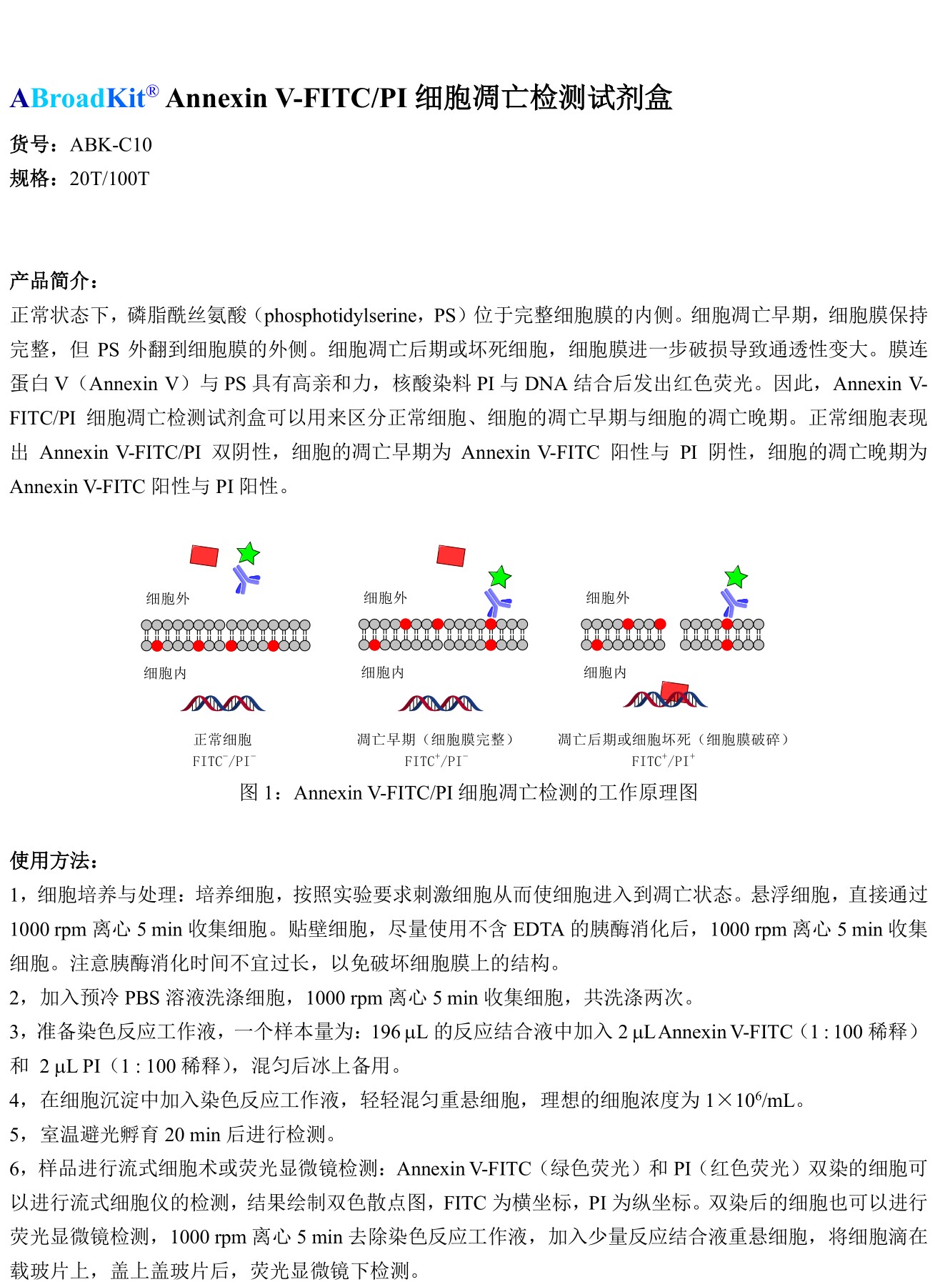 ABroadKit Annexin V-FITCPI细胞凋亡检测试剂盒使用说明书_17544716835221.jpg