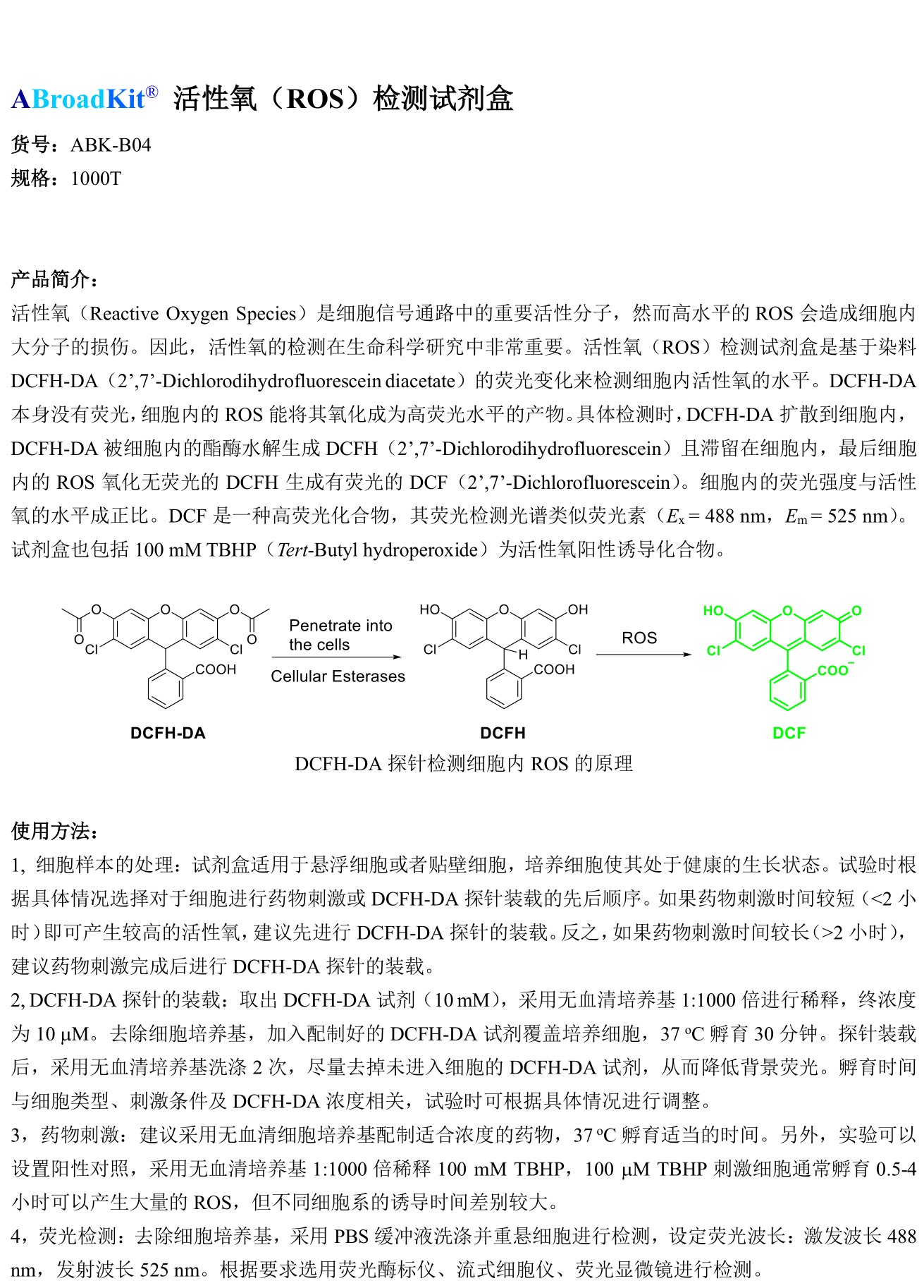 ABroadKit 活性氧(ROS)检测试剂盒使用说明书_17571496239641.jpg